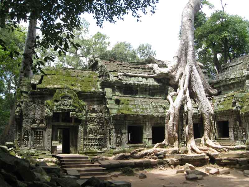  Ta Prohm Temple